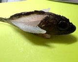骨ごといけちゃうカサゴの唐揚げ作り方2写真