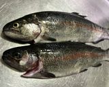 トラウトのポキ丼作り方1写真