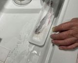 魚の皮刺身作り方7写真