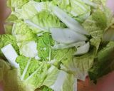 おばあちゃん家のリンゴと白菜サラダ☆作り方1写真