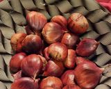覚書 : 圧力鍋でイタリアン茹で栗作り方11写真