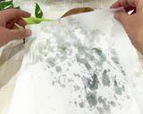 小松菜の冷凍作り方4写真