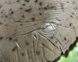 抹茶とあずきのムースケーキ作り方21写真