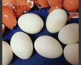 道具は不要☆簡単むきやすい茹で卵の作り方作り方31写真