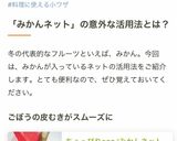 ちょっぴりeco♪みかんネットの活用法作り方7写真