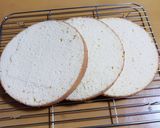 かんたん！絶品ズコットケーキ作り方3写真