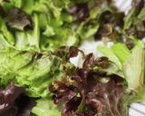 紫キャベツと大根のカラフルサラダ作り方7写真