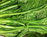 【減塩副菜】ほうれん草のごま和え作り方2写真