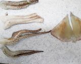 簡単！キャベツのシーフードトマトパスタ作り方1写真