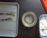 濃厚！うまい！ イカの塩辛作り方10写真