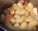 りんごコンポート 甘味料は不使用作り方6写真