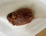 煮豚作り方7写真