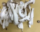 今宵の豚汁/三種のだしと味噌とイモ/上級作り方8写真