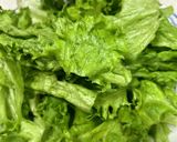 レタスだけサラダ作り方1写真