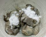 【料亭のコツ】失敗しないカキフライ基本作り方1写真
