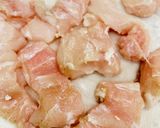 驚愕美味【ワニ肉】カリカリ揚げ作り方1写真