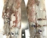 ヤリイカのみりん干しと一夜干し作り方2写真
