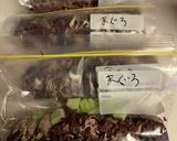 わんこ飯　お安くて栄養満点　マグロのあら作り方7写真