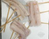 穴子の一夜干しの白焼きとタレ焼き作り方7写真