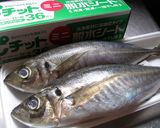 鯵の一夜干し作り方1写真