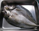 鯵の一夜干し作り方3写真
