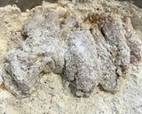 2度漬け唐揚げ 冷凍しても美味しい作り方9写真