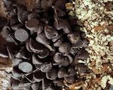 クイックチョコレートブレッド作り方4写真