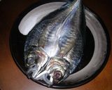 鯵の一夜干し作り方6写真