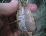 尻尾の身も全部食べられるエビフライ作り方1写真