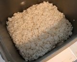 HB のし餅【羽二重糯 もち米】３合作り方11写真