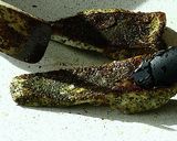 鯛のポワレ煎茶締め オランディーズソース作り方5写真