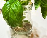完熟柿のカプレーゼ風作り方10写真