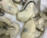 ビールのつまみ/焼き牡蠣フライ/ご飯の供作り方2写真