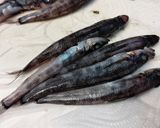 メヒカリ南蛮漬。作り方1写真