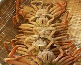 セイコ蟹の食べ方作り方2写真