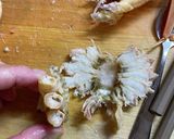 セイコ蟹の食べ方作り方6写真