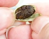 ミルで簡単！カルダモンの粉末化作り方1写真