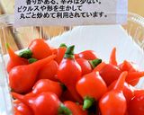 はなびらたけ&水菜,生ハムのリースサラダ作り方6写真