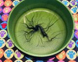 大根消費●鶏団子の冬休み●かまくらのっけ作り方1写真