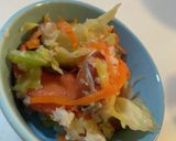 鮭の飯寿司　冷蔵庫　卓上漬物器　野菜多め作り方18写真