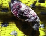 レンジで簡単 蒸かし芋作り方2写真
