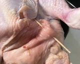 クリスマス　丸ごと鶏のローストチキン作り方8写真