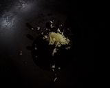 ナンプラーだけ　　ほうれん草の油炒め作り方2写真