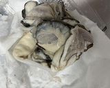 ふわふわ牡蠣のペペロンチーノ作り方2写真