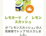 レモネード　／　レモンスカッシュ作り方10写真