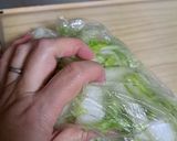 簡単やみつき白菜漬け作り方2写真