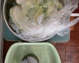 ビニール袋で白菜漬物作り方3写真