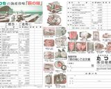 本格！鶏がらx魚介ラーメンver2作り方17写真