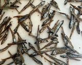 薄味京風田作り　超簡単！作り方4写真