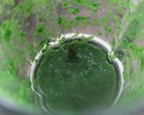 辰年☆お正月•おせちに！辰のカナッペ作り方2写真